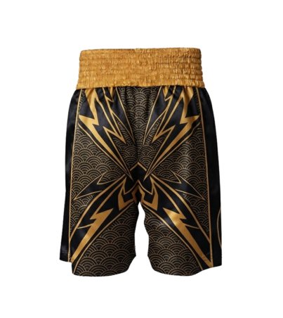 boxing shorts 06x copy