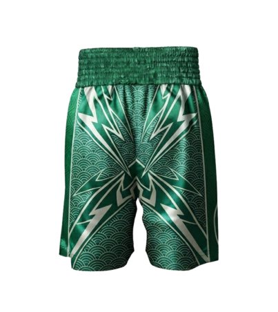 boxing shorts 09x copy